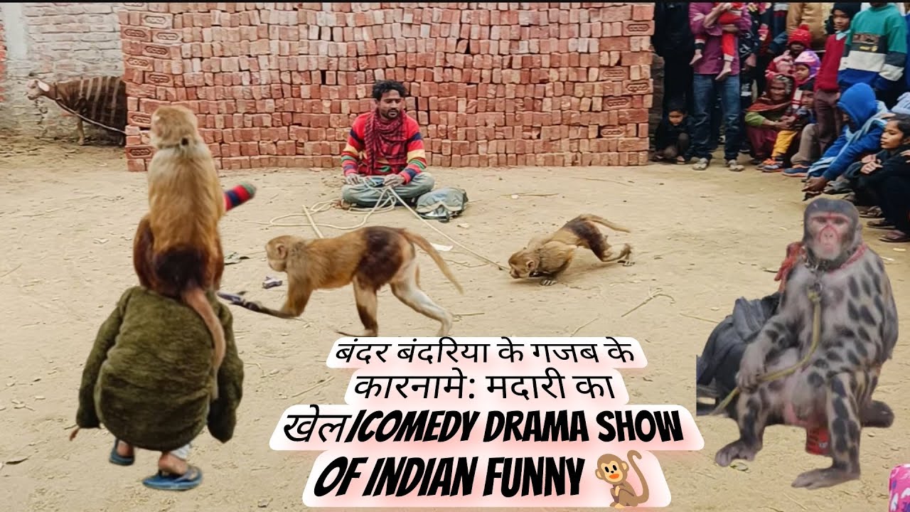 Salman Khan aur Raveena Tandon बंदर बंदरिया के गजब के कारनामे: मदारी का खेल|Comedy Indian Funny 🐒