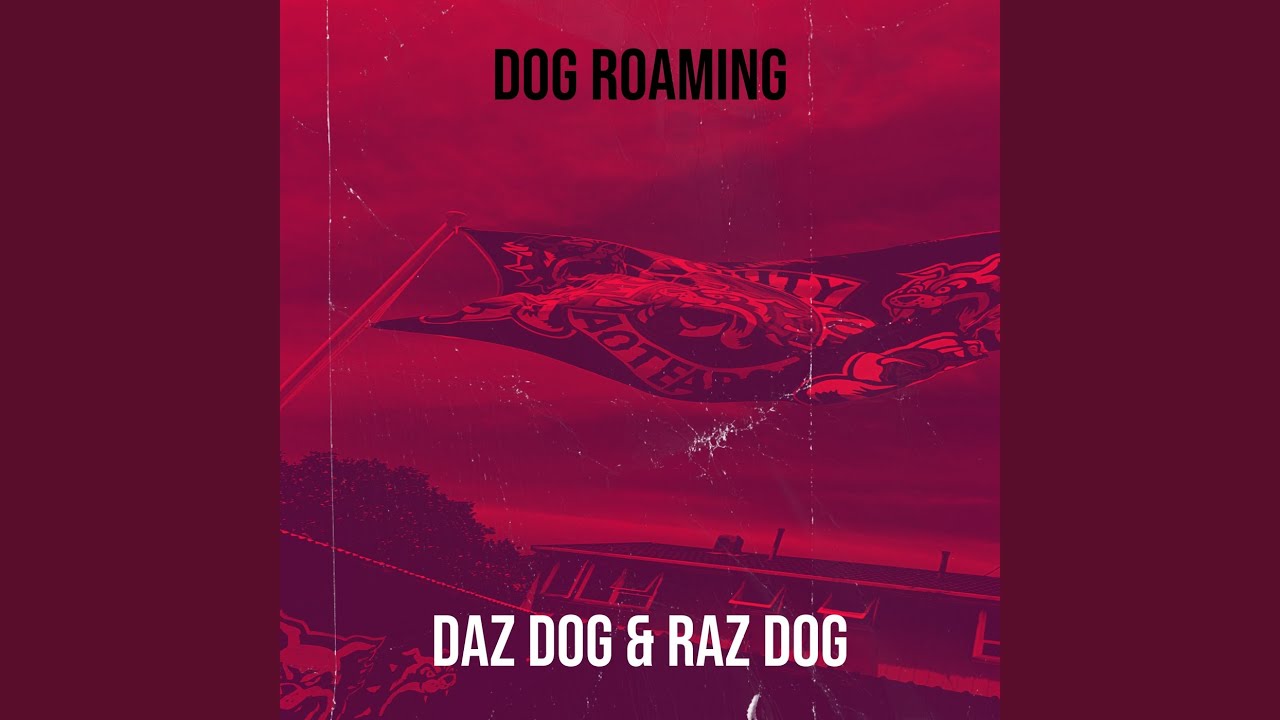 Dog Roaming