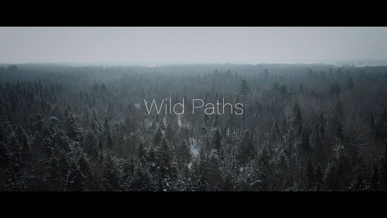 WILD PATHS II 