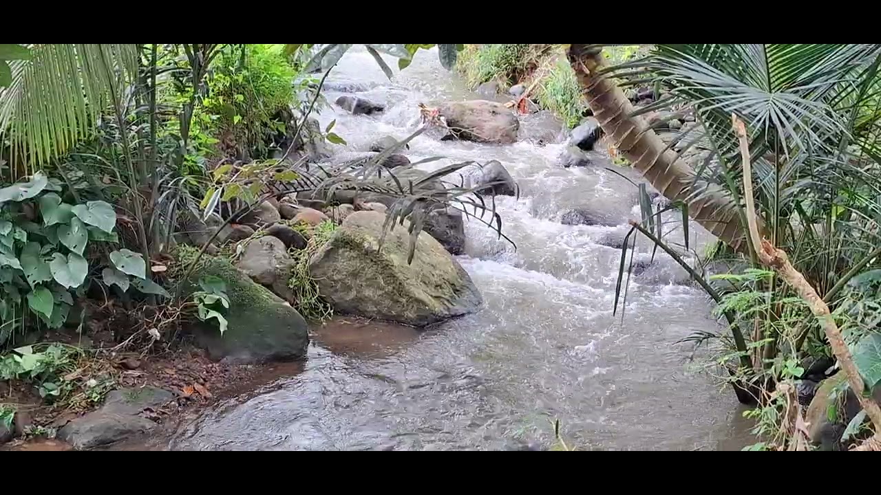 sungai diperbukitan desa 💙🩵💚( relaxation )