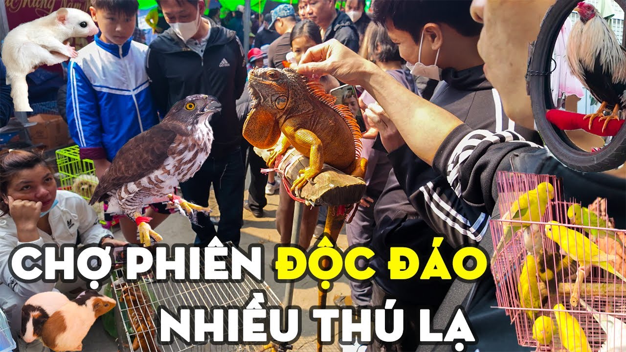 Chợ Hàng Hải Phòng - Chợ Phiên Độc Đáo nhất Việt Nam