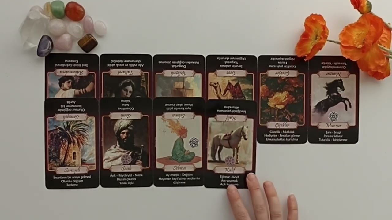 KOÇ BURCU🌟KATİNA AÇILIMI💫