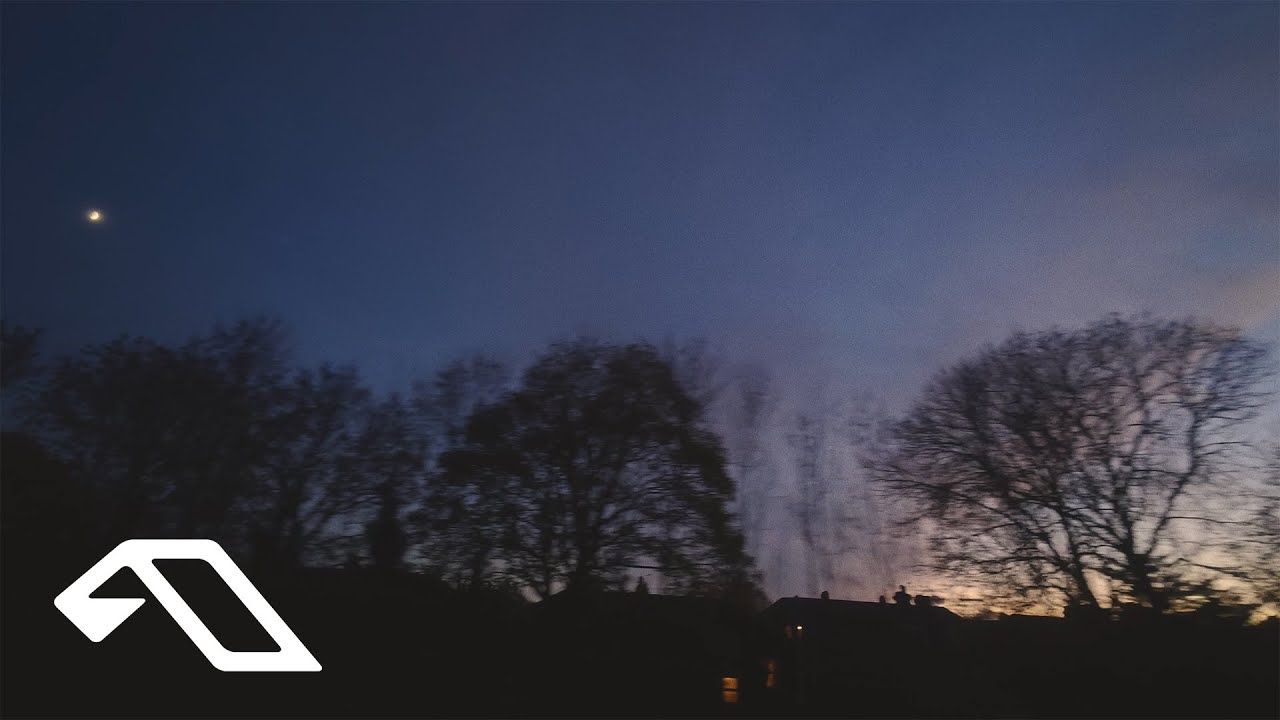 Maty Owl - Falling Leaves [Official Visualiser]