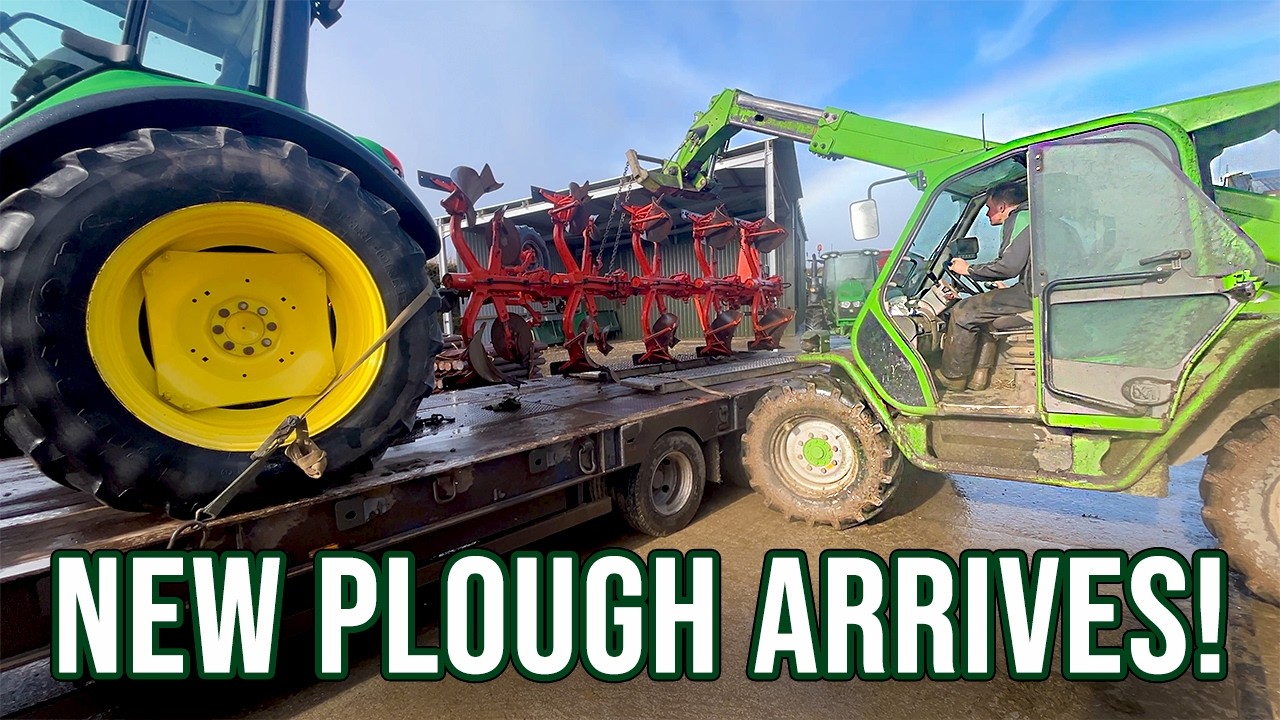 New Plough Arrives! | Cows On The Road!
