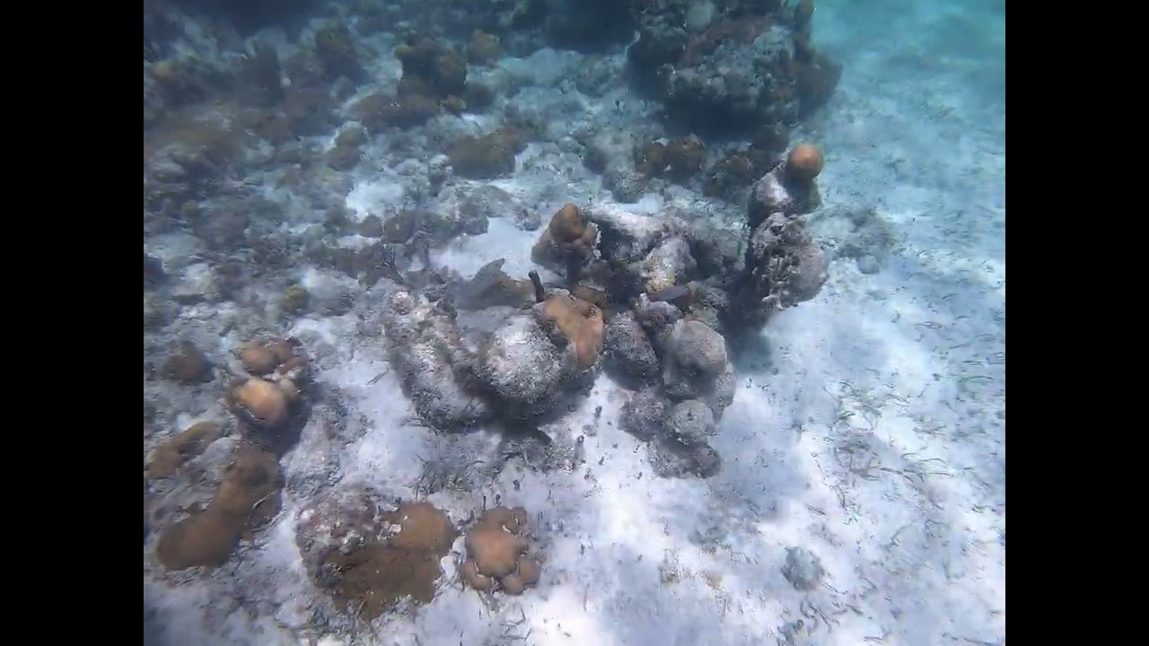 Smiths Reef 1