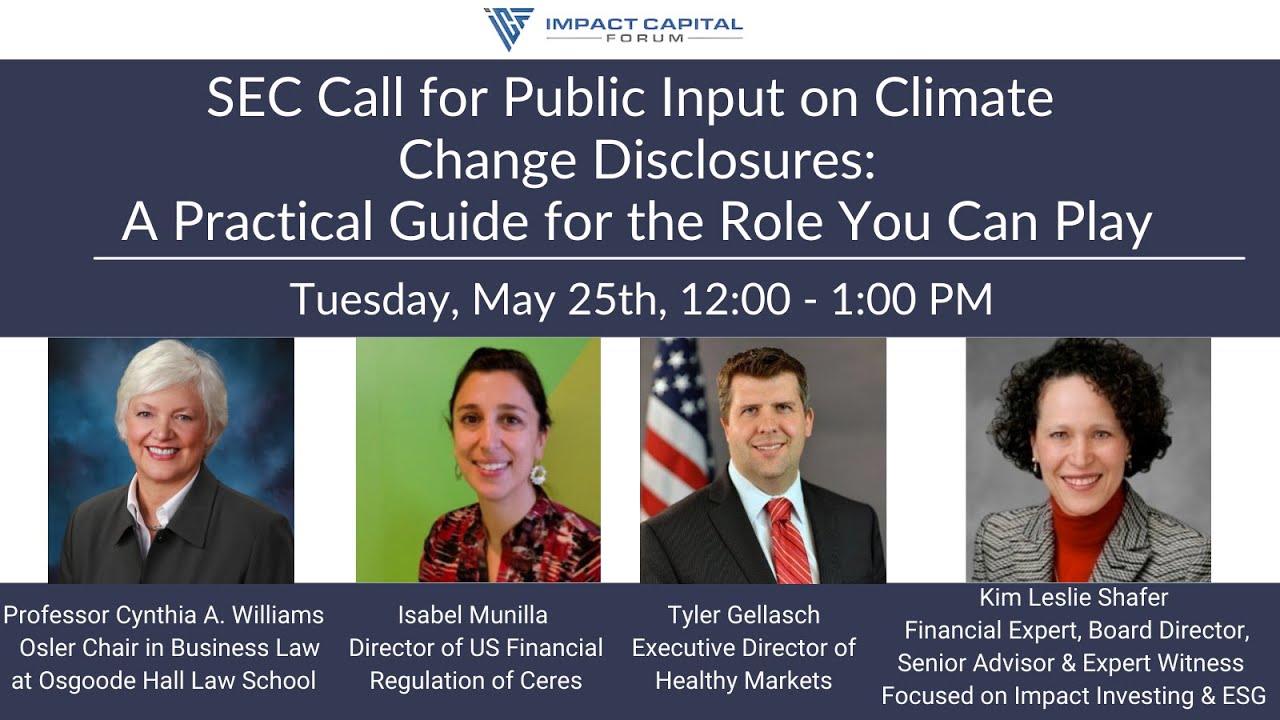 SEC Call for Public Input on Climate Change Disclosures: A Practical Guide for the Role You Can Play