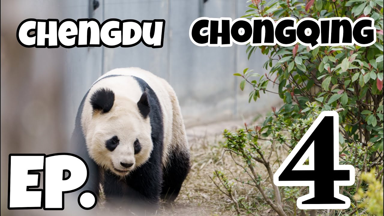 ทริป เฉิงตู - ฉงชิ่ง 2025 EP.4 [ END ]