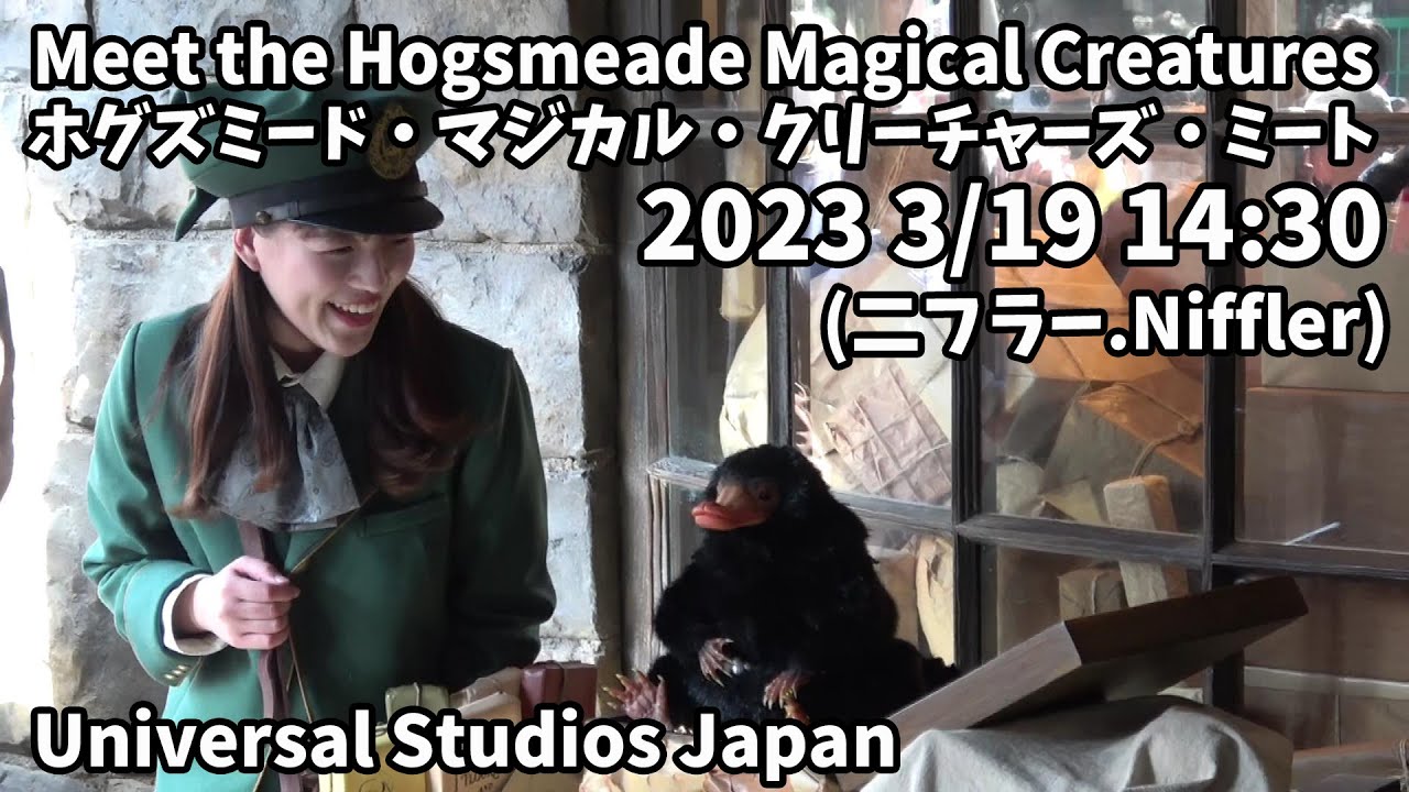 USJ Meet the Hogsmeade Magical Creatures(Niffler) 2023 3/19 14:30