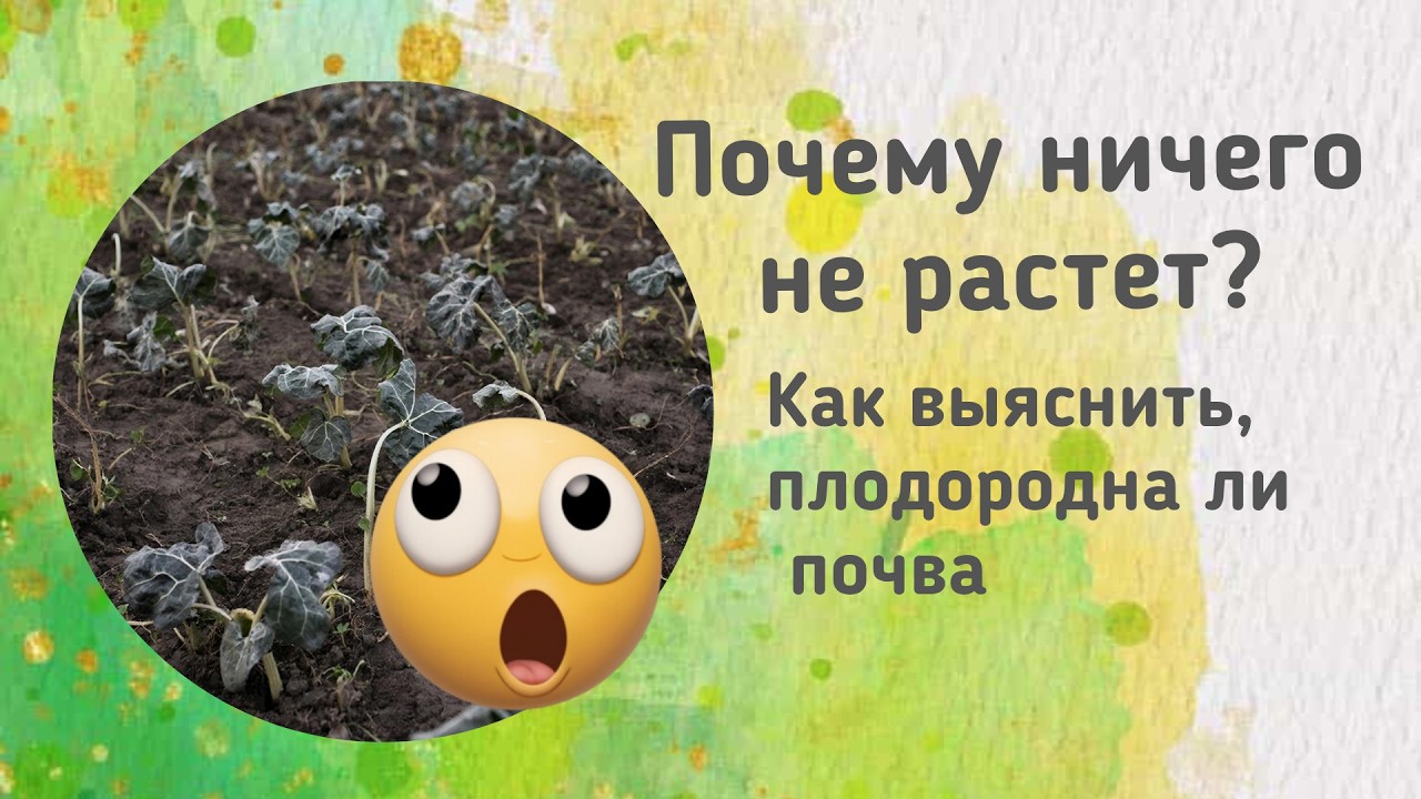 Почему ничего не растет? ОТВЕТ здесь.