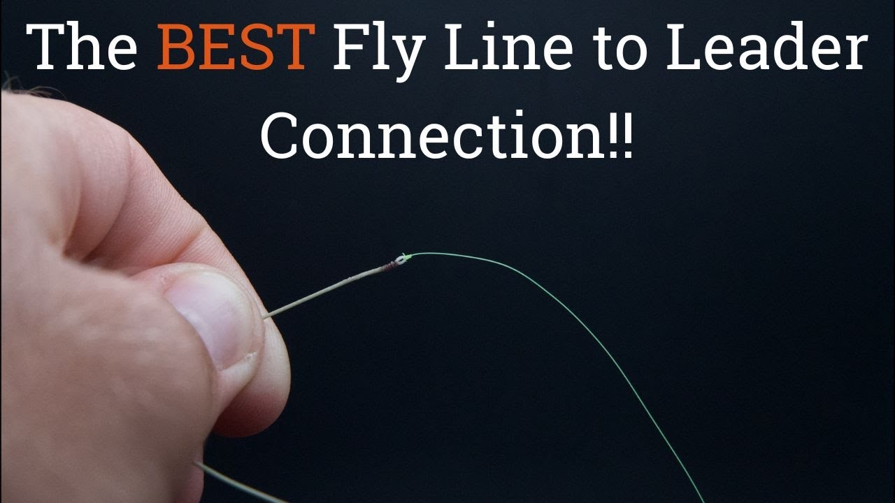The  BEST Fly Line to Leader Connection || How to Make a Micro Loop