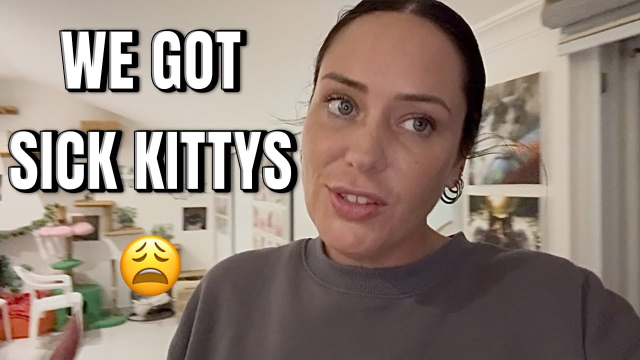 КОШАЧИЙ ГРИПП ПРИШЁЛ!!! И снова! Ещё больше вкусняшек для них 🤣