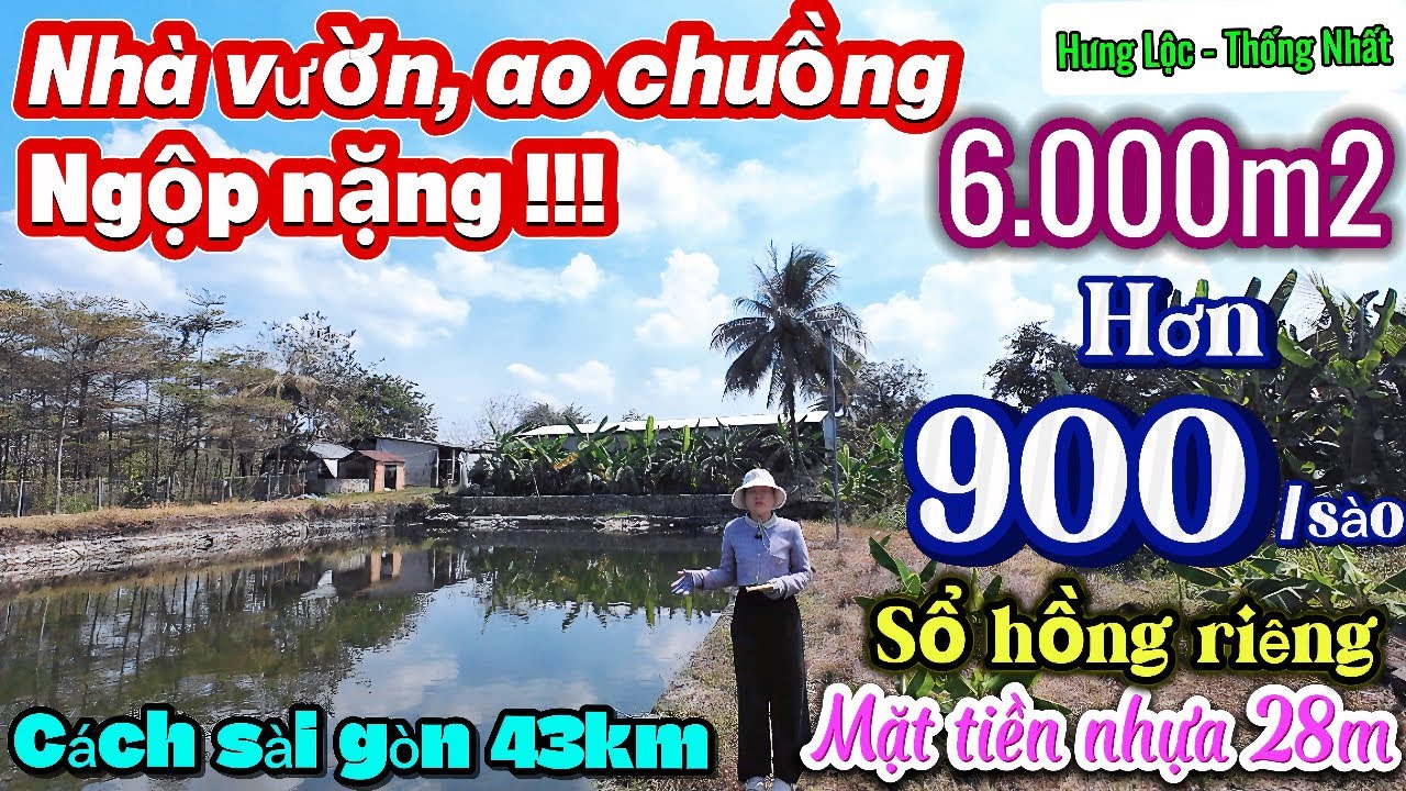 Nhà đất đồng nai, nợ ngân hàng hạ giá 2tỷ bán gấp nhà vườn ao chuồng mặt tiền đường nhựa quá rẻ !