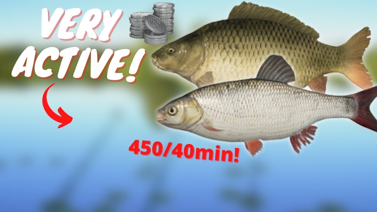 SUPER ACTIVE CARP SPOT IN AMBER LAKE! #387 Russian fishing 4