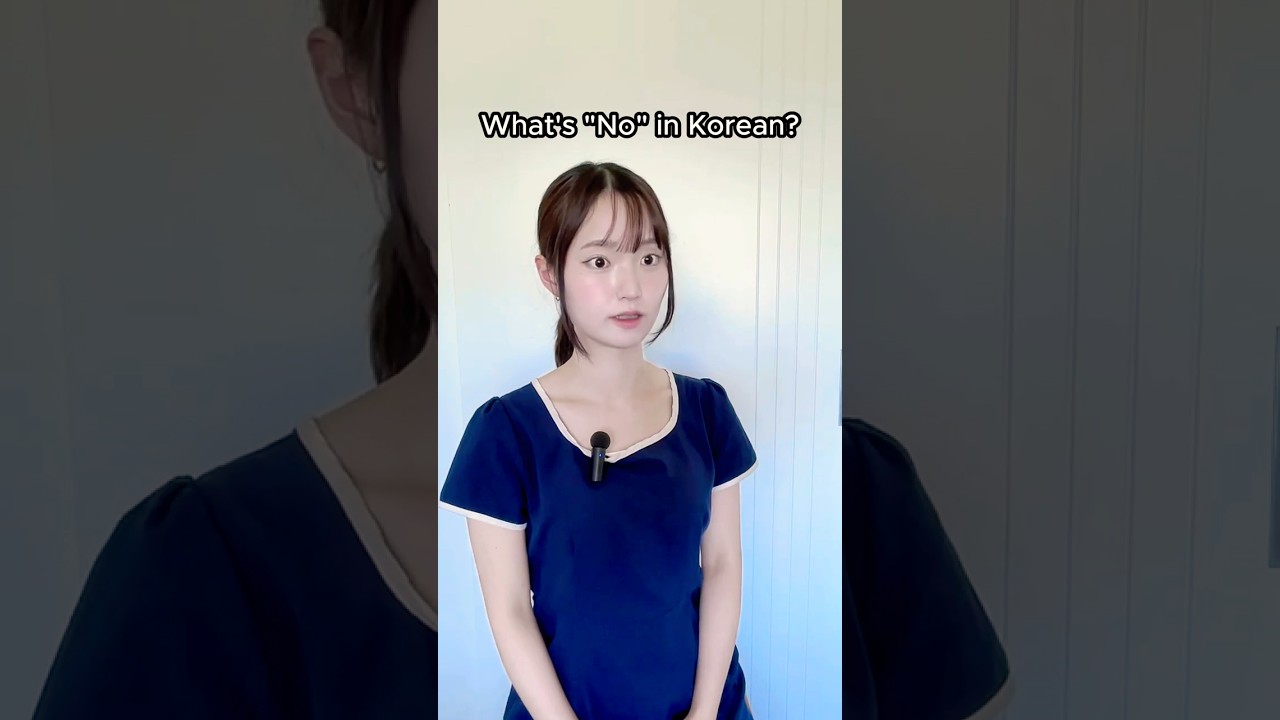 &ldquo;No&rdquo; in Korean Isn&rsquo;t Just 