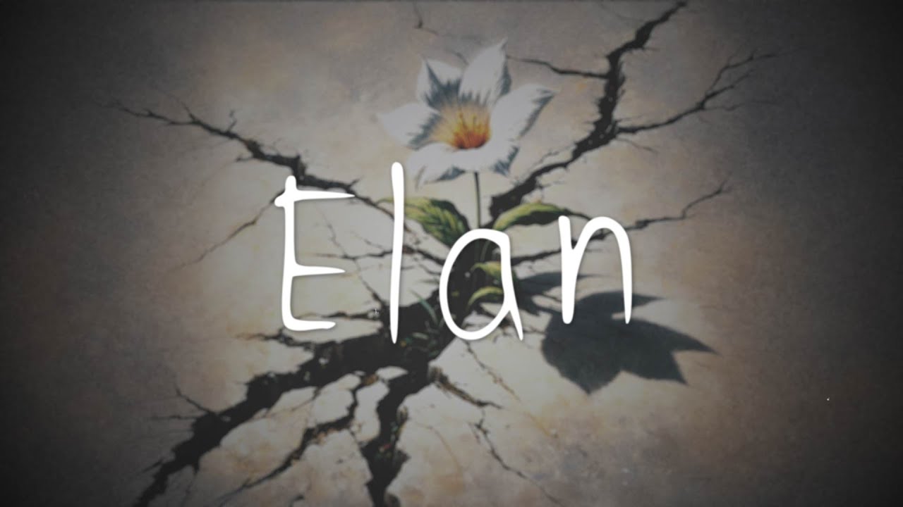 Elan - The Universal Donor