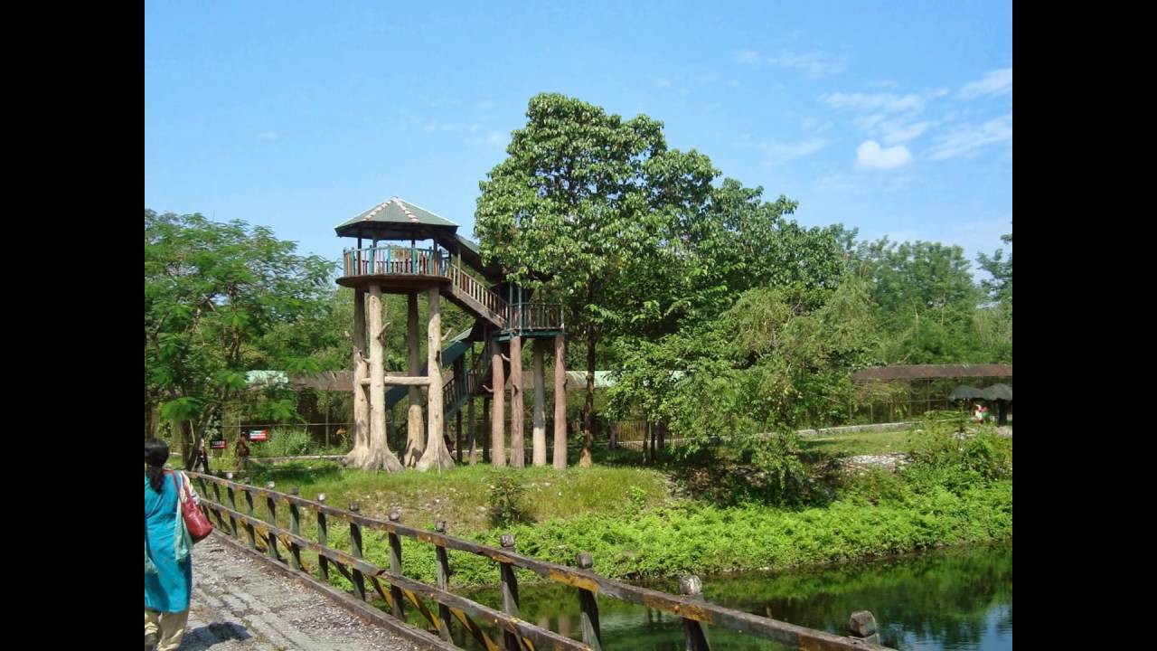 BEAUTIFUL DOOARS