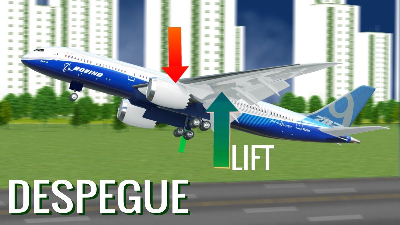 ¿Cómo vuelan los aviones?