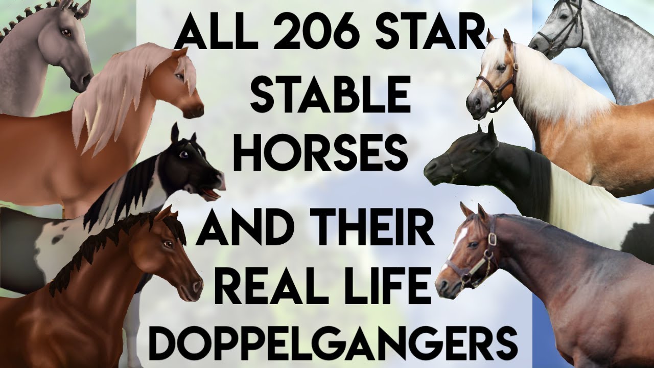 All 206 Star Stable Horses And their Real Life Matches (Old)