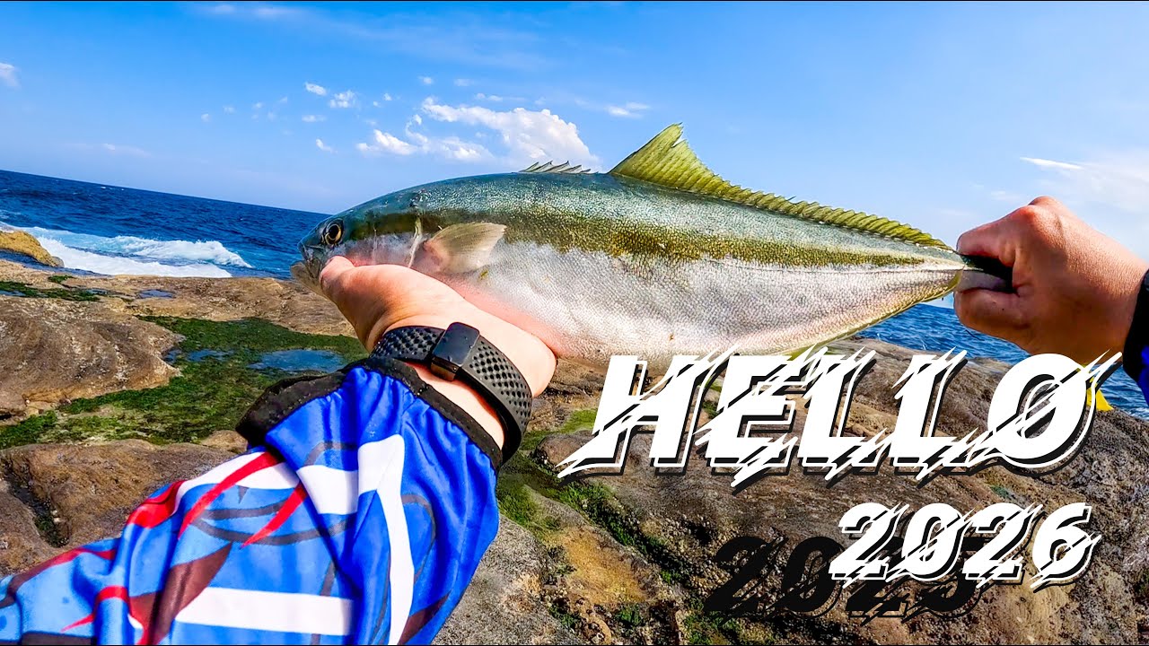 【Jack's Fishing life vlog#162】😊永远的选择 超级大众点LB 2026 第一钓 #Sydney Fishing# fishing for King #悉尼#King#钓鱼