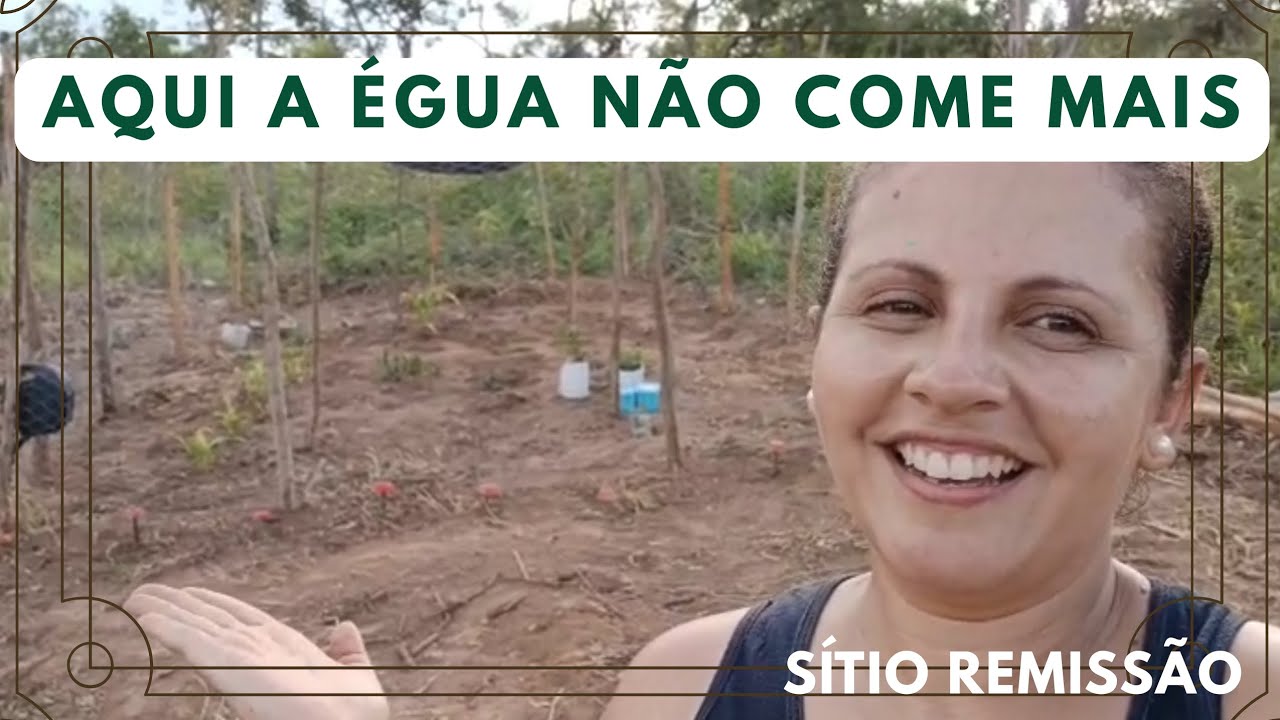 FIZEMOS NOSSA HORTA FECHADA CONTRA ATAQUE DA ÉGUA DO VIZINHO
