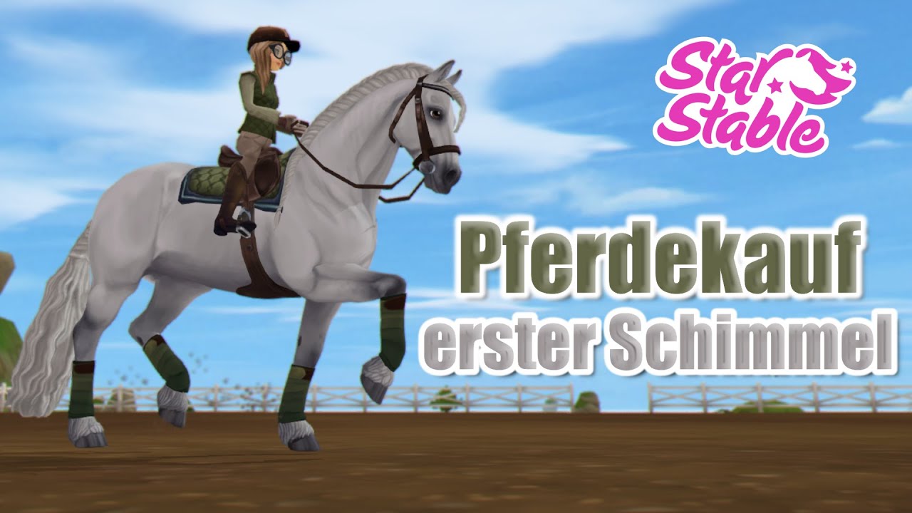 Mein erster Schimmel im Stall!🎀 | Pferdekauf | Star Stable