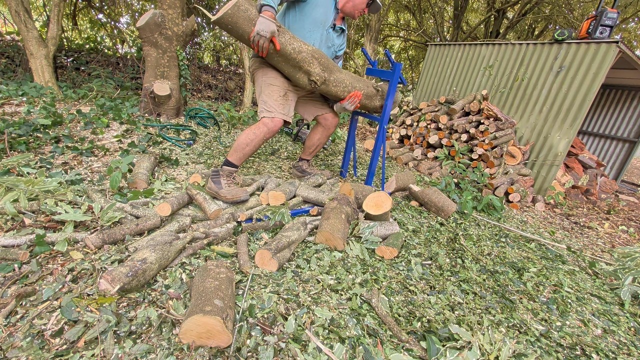 Hurricane Smart Log Horse Review