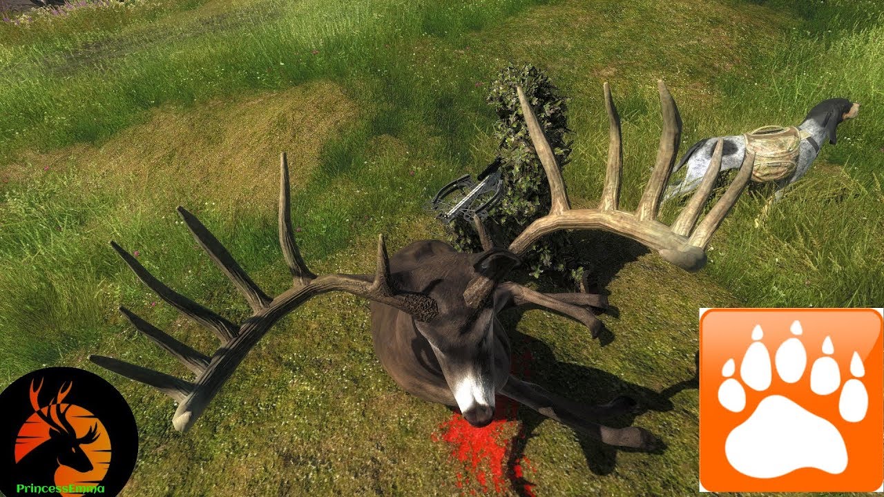 Thehunter Classic 180