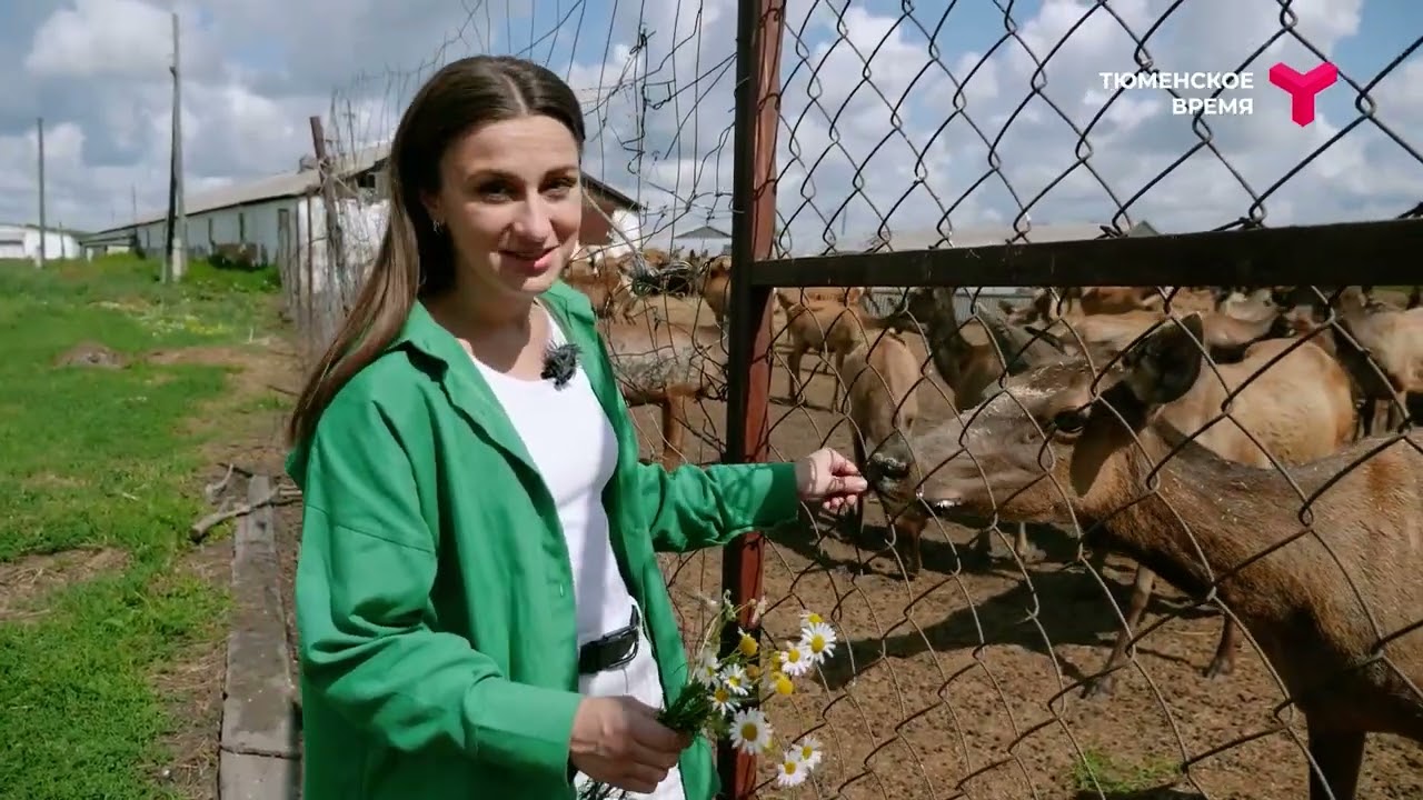 Хочу в Ялуторовский район!