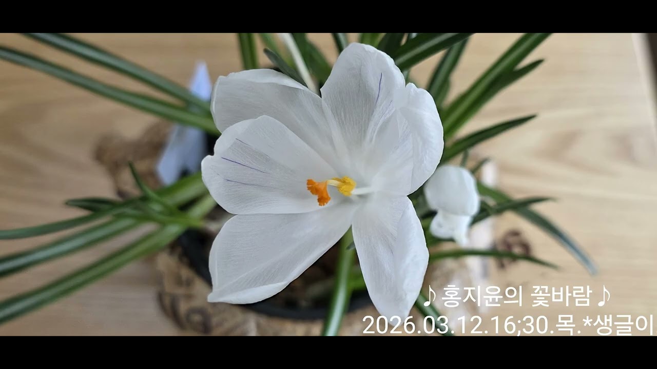 2026년 3월 14일