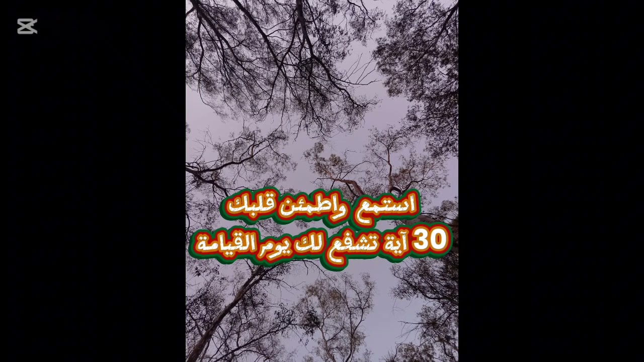سورة الملك كاملة بصوت هادئ يريح القلب 💞لا تنم قبل سماع سورة الملك | فضل عظيم يغفل عنه الكثير