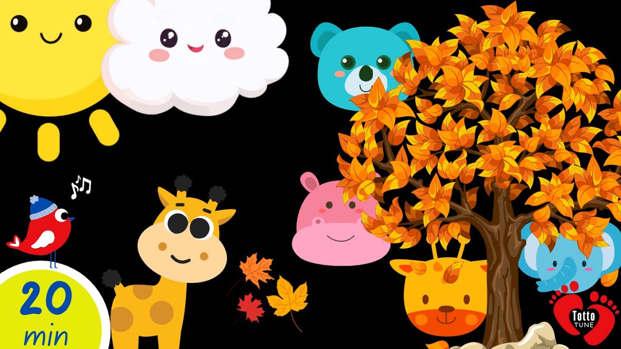 Autumn Peekaboo Fun | High Contrast Baby Sensory Adventure | Soft Music for Baby