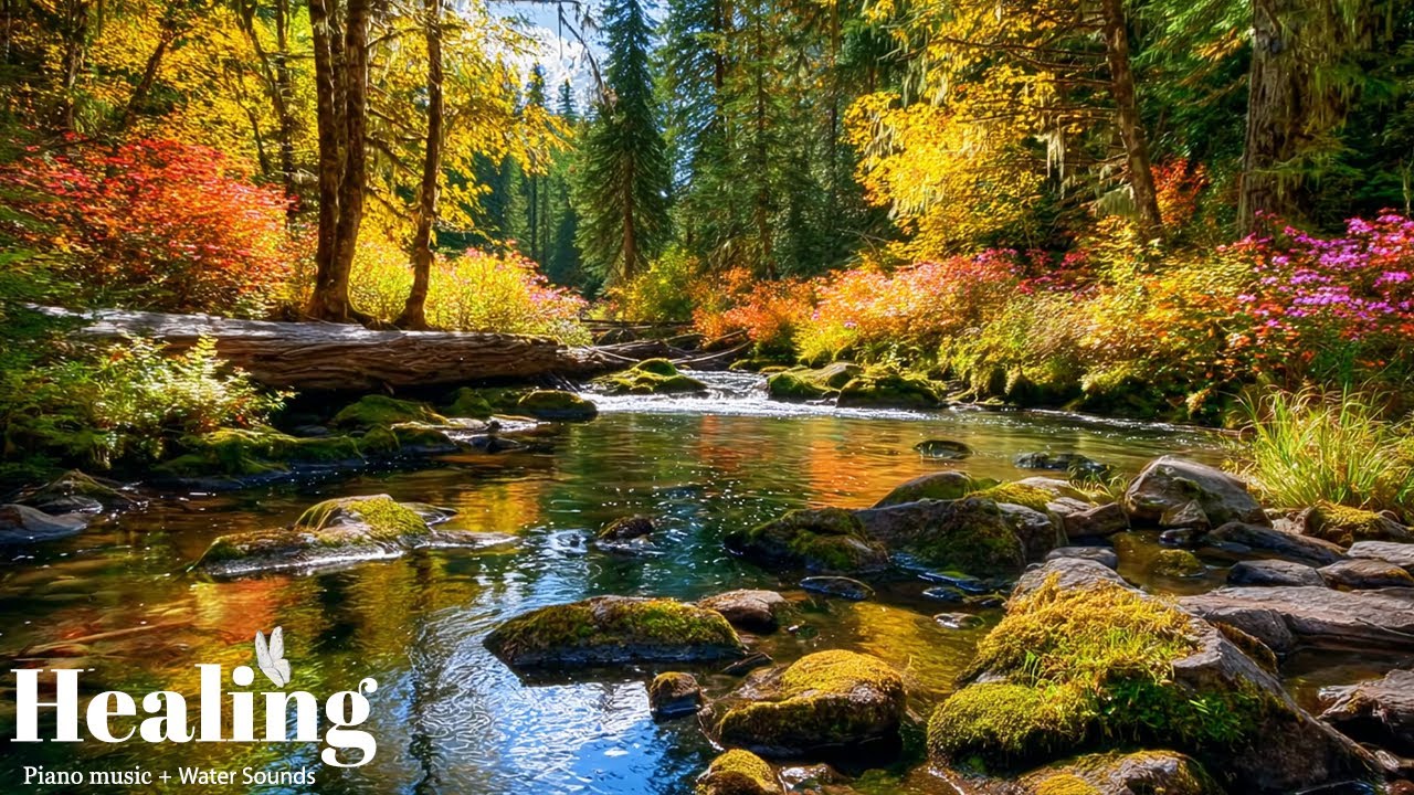Nature’s Tranquil Sounds & Relaxing Music 🌙 Stress Relief, Heart Healing & Restful Sleep