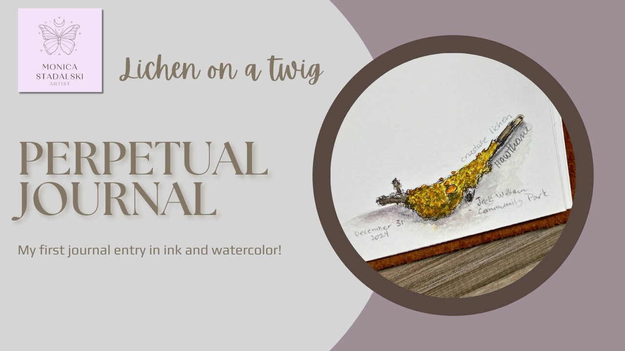 Lichen Study in a Perpetual Nature Journal | Watercolor Techniques & Inspiration