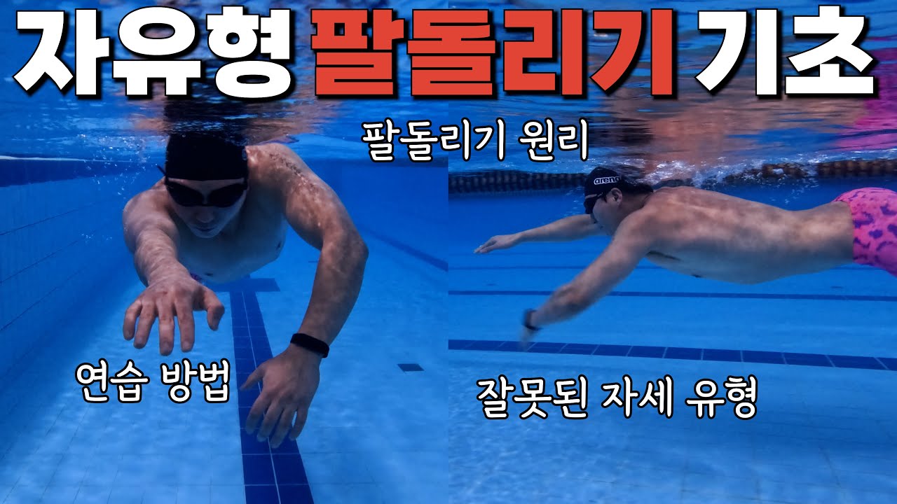 5. 자유형 팔돌리기 기초 명절 밥상