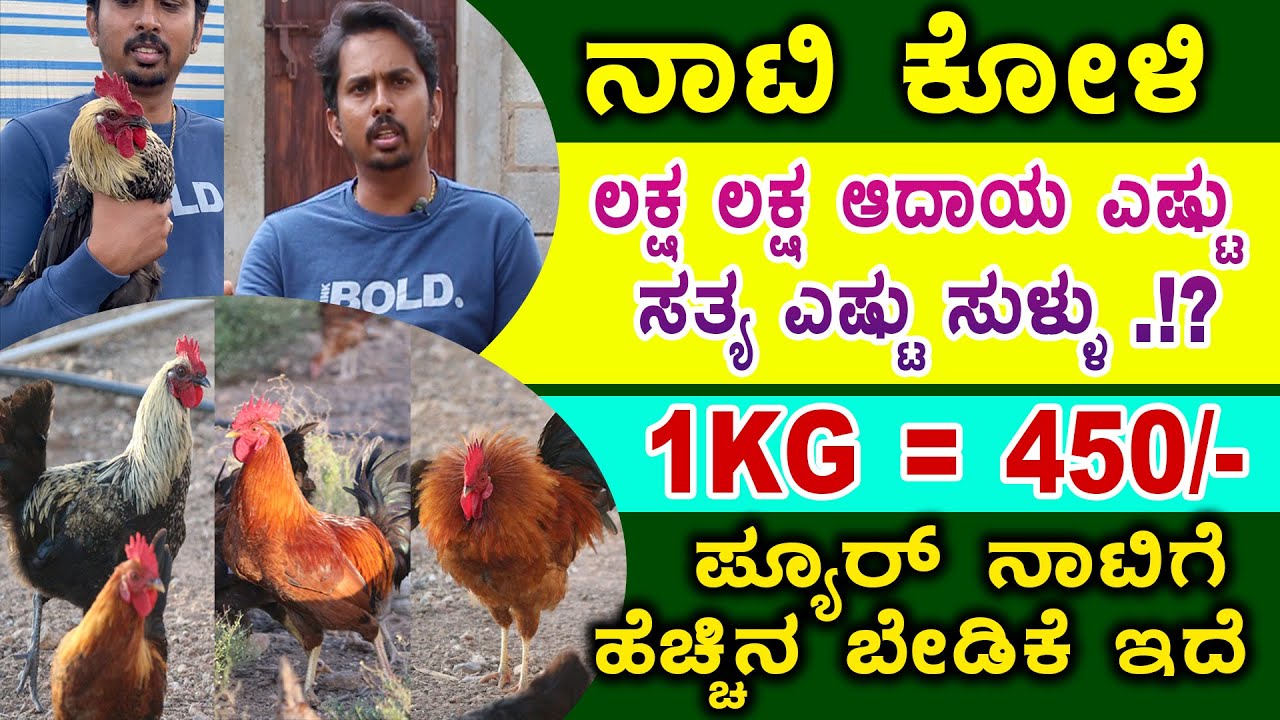 ನಾಟಿ ಕೋಳಿ ಸಾಕುವ ಮುನ್ನ ಇದನ್ನು ನೋಡಿ.!? Naati Koli Farming Kannada | Raithaapi 2023