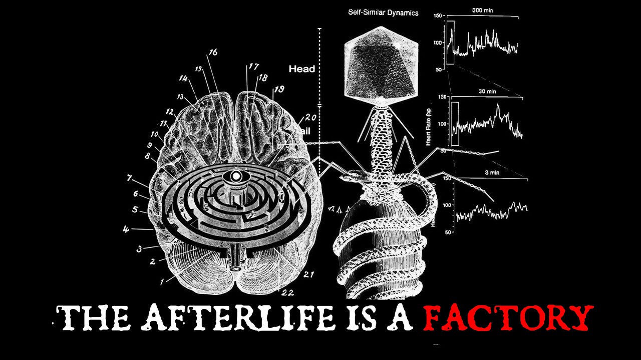 The Afterlife Is A PROCESSING Plant