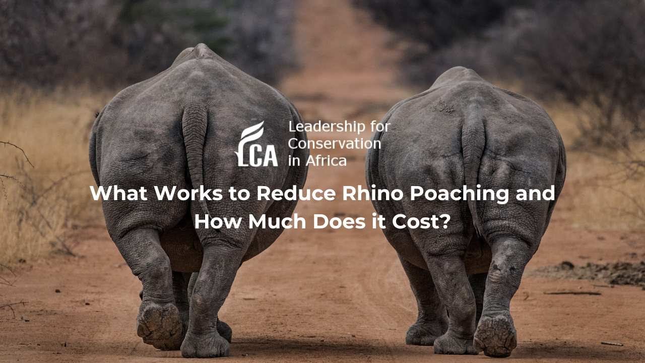 What Works to Reduce Rhino Poaching and How Much Does it Cost?
