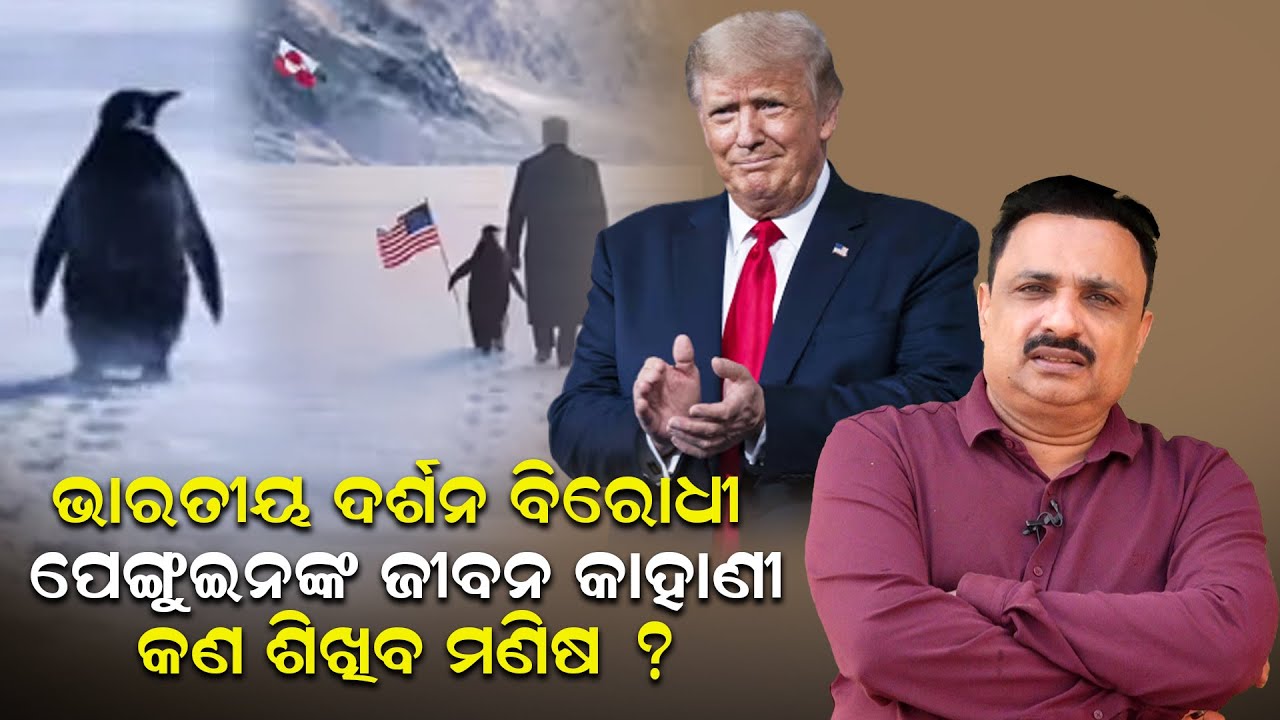 ଭାରତୀୟ ଦର୍ଶନ ବିରୋଧୀ ପେଙ୍ଗୁଇନଙ୍କ ଜୀବନ କାହାଣୀ; କଣ ଶିଖିବ ମଣିଷ ?| Manoranjan Mishra | NewsRoom