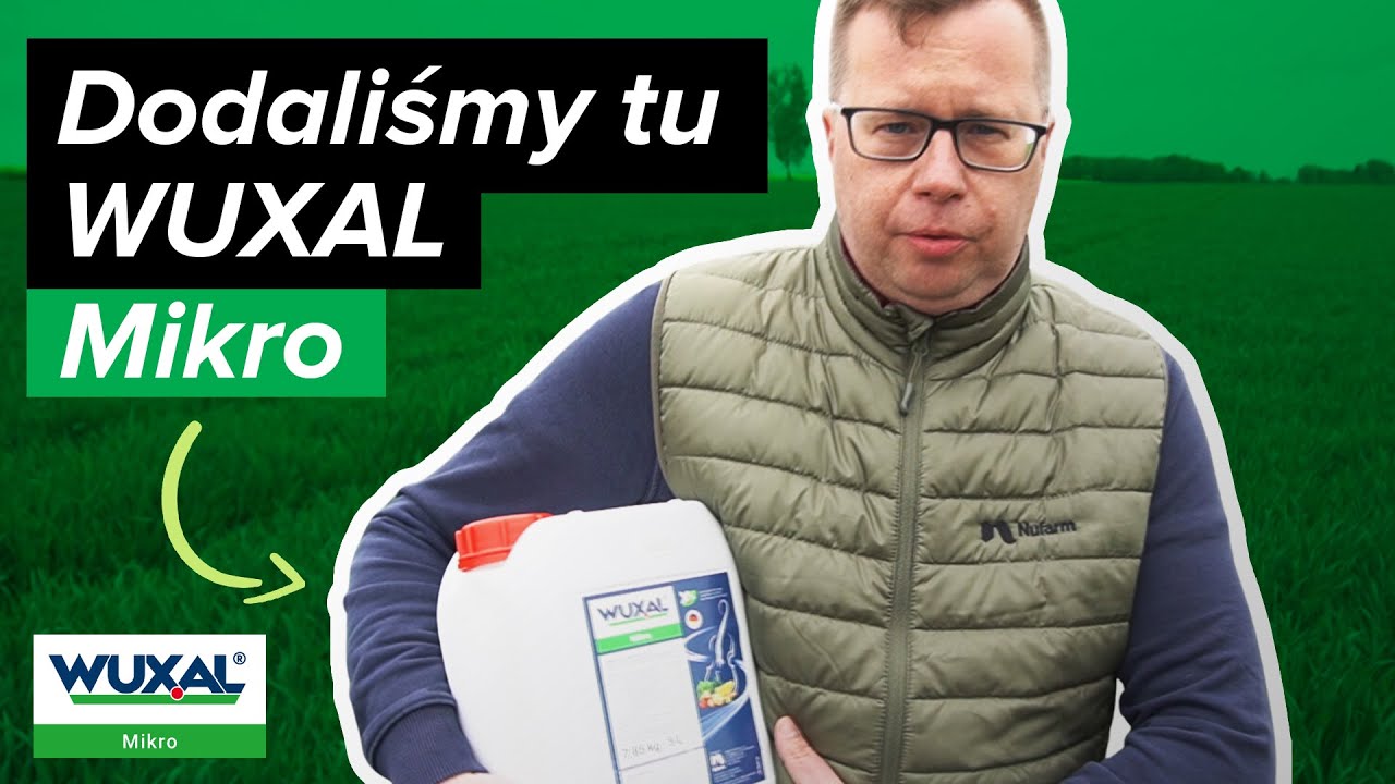 Mikroelementy dolistne nawożenie zb&oacute;ż WUXAL Mikro ☆ Nufarm 🌾 Poletka odmianowe MIFARM
