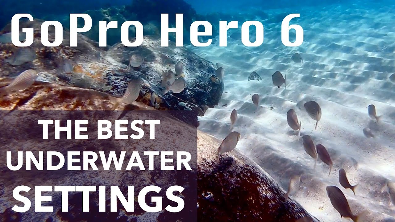 GoPro Hero 6 - The BEST Underwater Settings