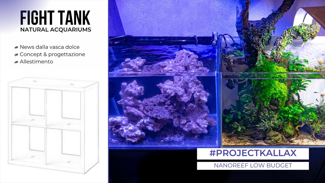 ALLESTIAMO UN NANOREEF - PROJECT KALLAX