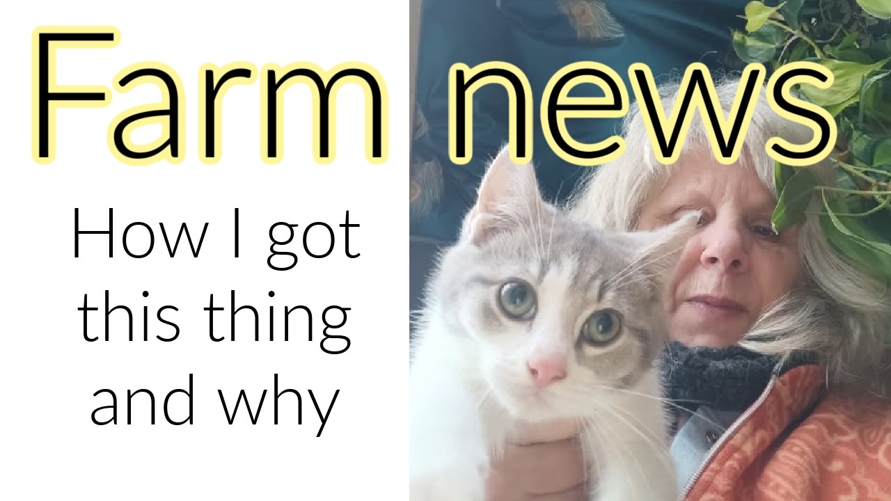 Farm news - Feral kittens for the hoarder in me.