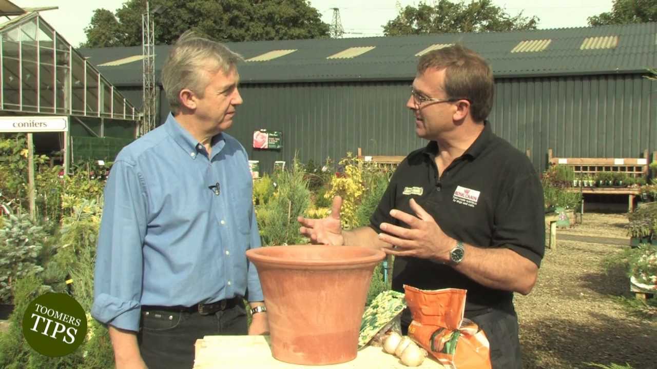 Toomers Tips - Autumn Planting (Recorded Sept. 2012) - Toomers Garden Centre, Swindon