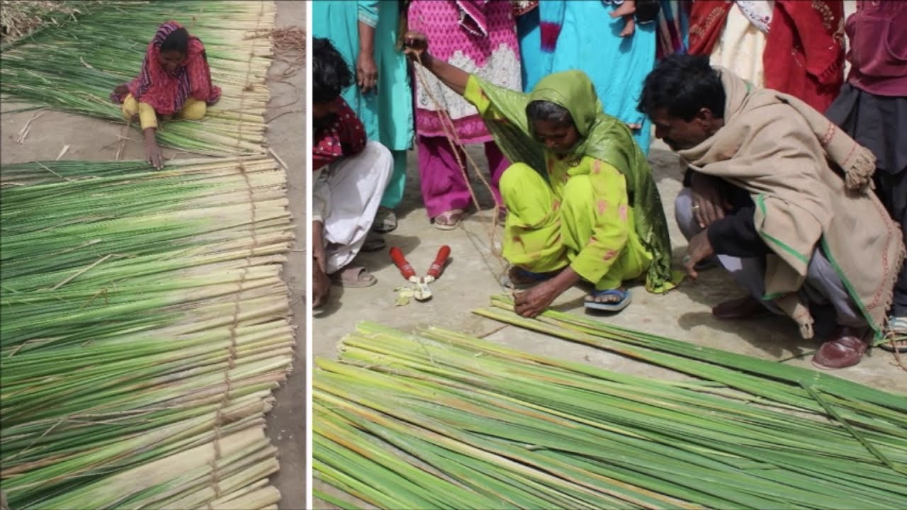 (Green Thatch Roof Making)یاسمین لاری کے سسستے اور مضبوط  گھر خد بنائیں - سبز چھت تیار کرنا