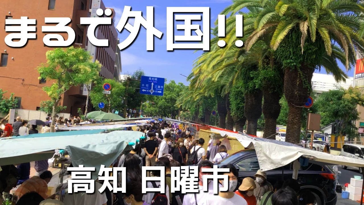 【高知県旅行 名物日曜市】ココってホントに日本なの？高知の日曜市が楽しすぎる絶品グルメ いも天、冷やしあめ食べ歩き歩行者天国 全長1km 300年以上の歴史を持つ日曜朝市 4K