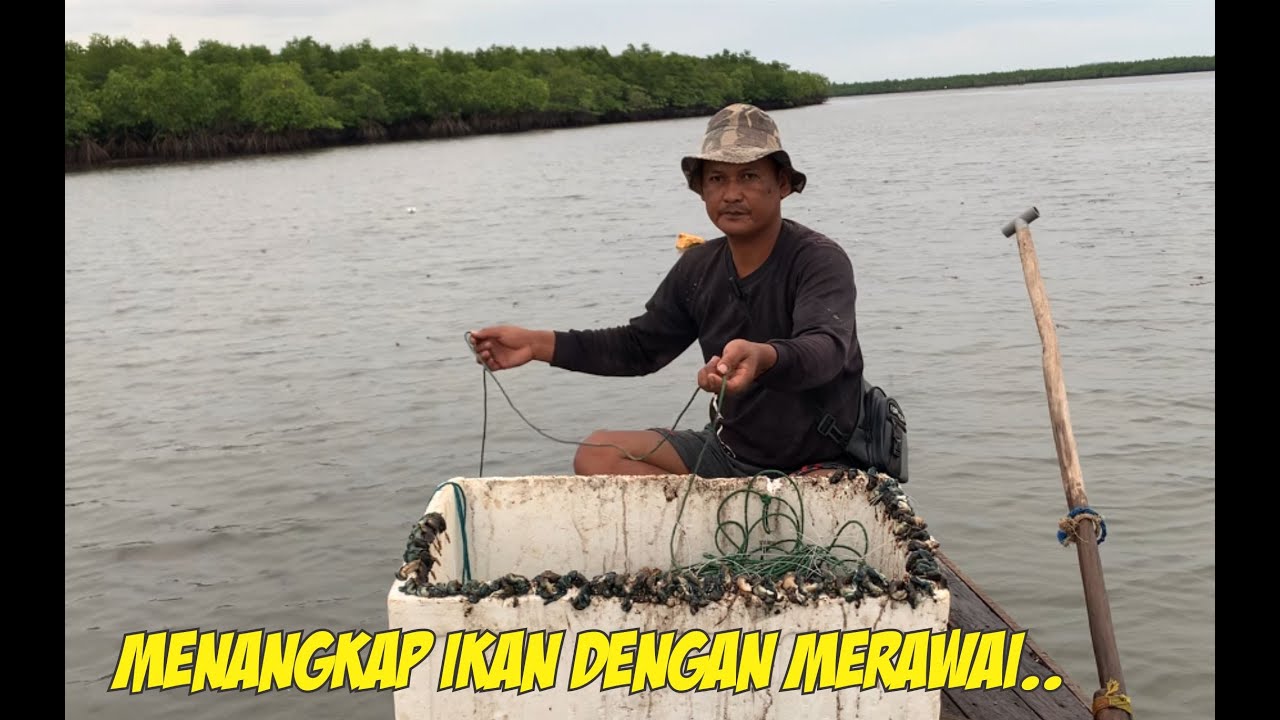 MERAWAI DARI SIANG SAMPAI MALAM