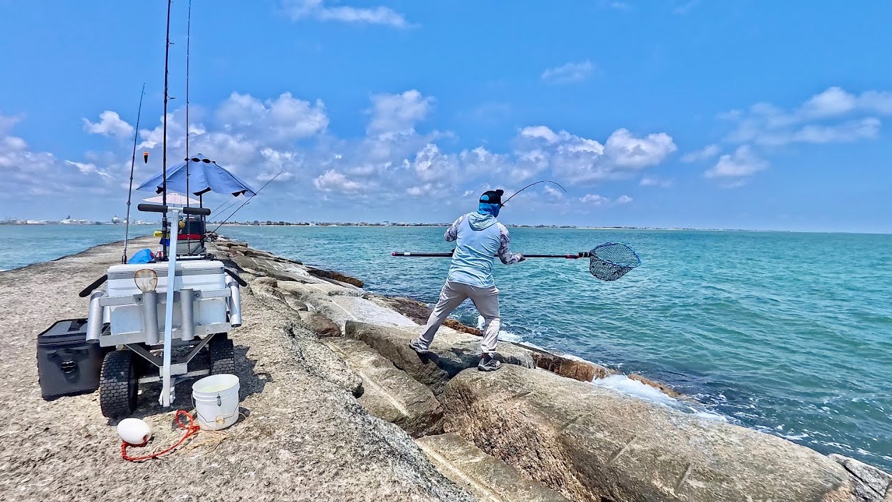 Super lucky! My last shrimp caught this big jetty fish (S8 E50)