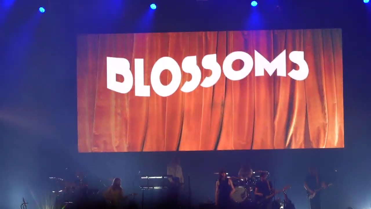 Blossoms 