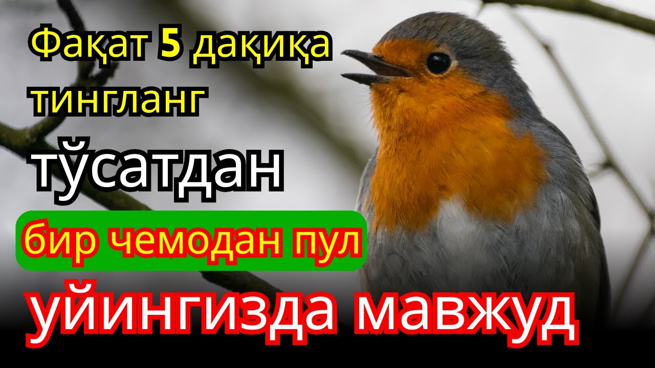 🔴Фақат 1 марта эшитинг , пул сизни ўзидан қидиради! Дунёдаги энг кучли ризқ дуоси!