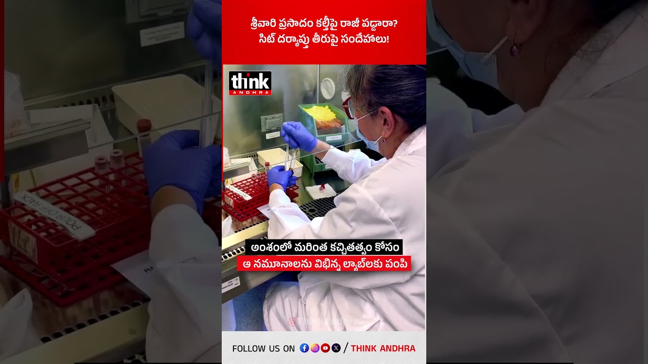 శ్రీవారి ప్రసాదం కల్తీపై రాజీ పడ్డారా? సిట్ దర్యాప్తు తీరుపై సందేహాలు! #ysjagan #tirumalaladdu #sit